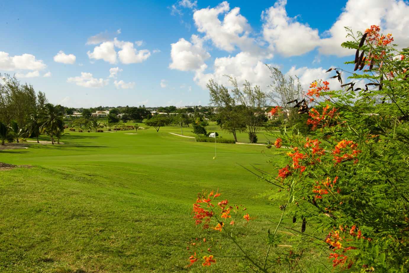 3 Rounds of 18 Holes at the Barbados Golf Club – photo 2 of 5