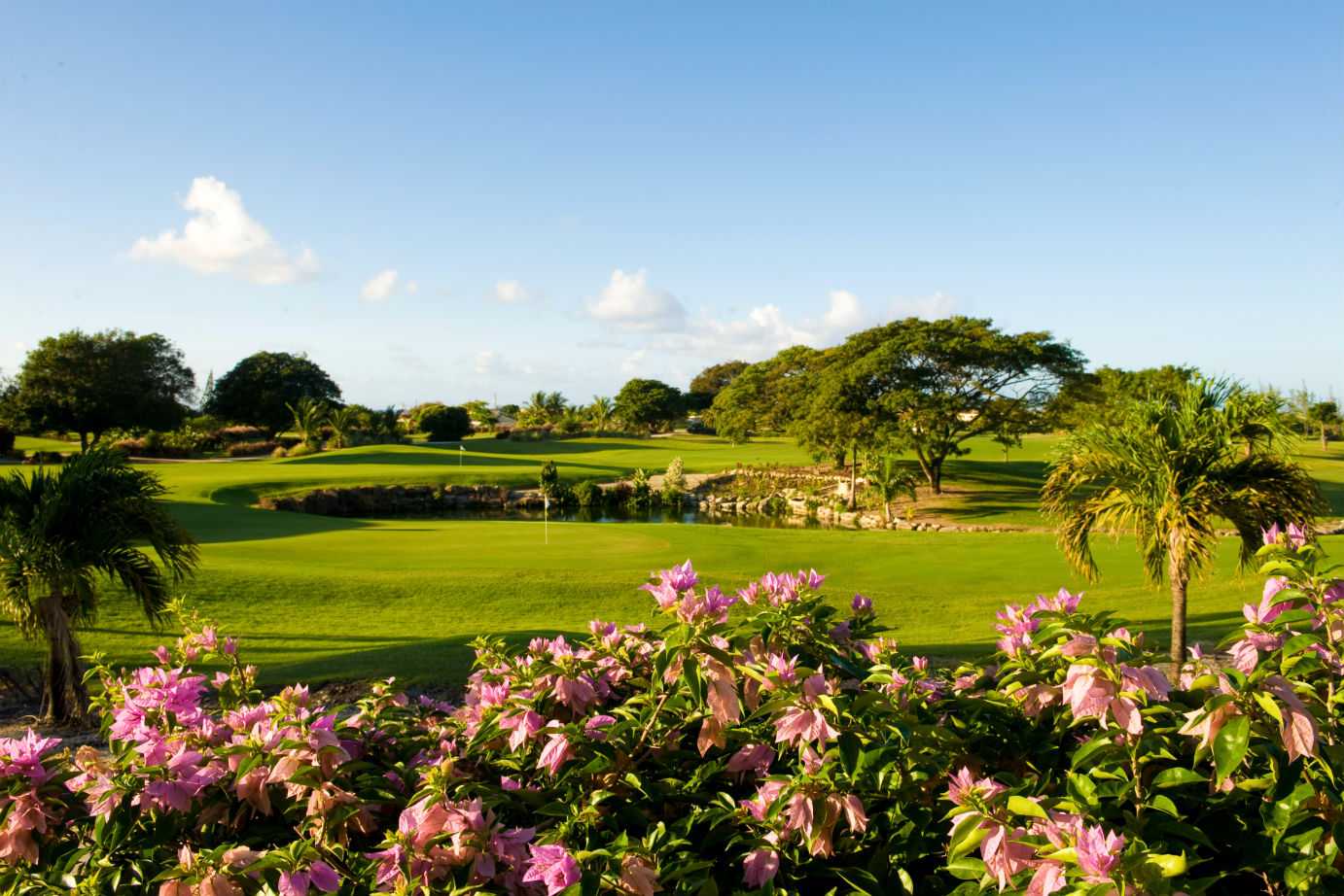 3 Rounds of 18 Holes at the Barbados Golf Club – photo 5 of 5
