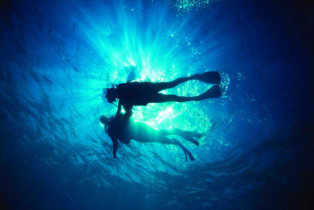 Two Tank Dive St. Lucia – photo 1 of 2