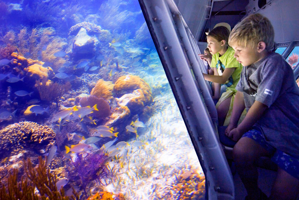 Undersea Explorer Submarine Tour In Providenciales - Island Routes