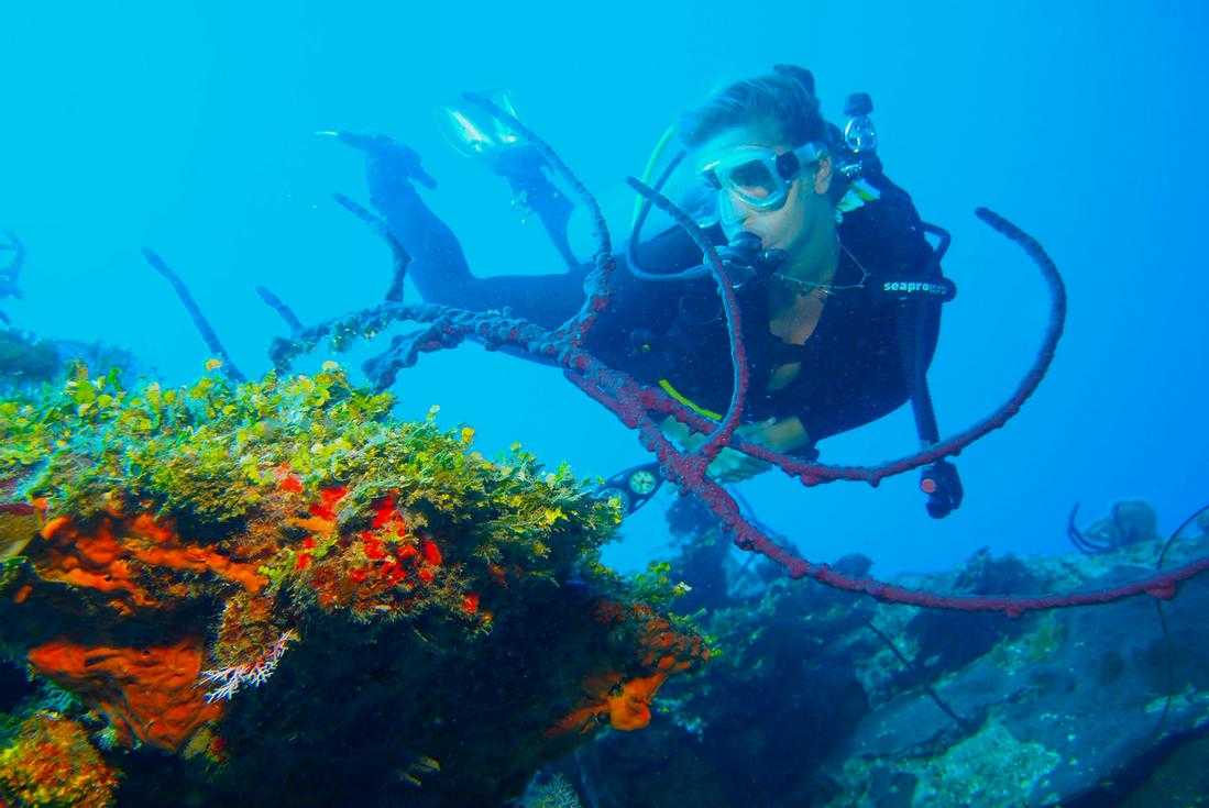 Two Tank Professional Diving in Nassau – photo 3 of 6