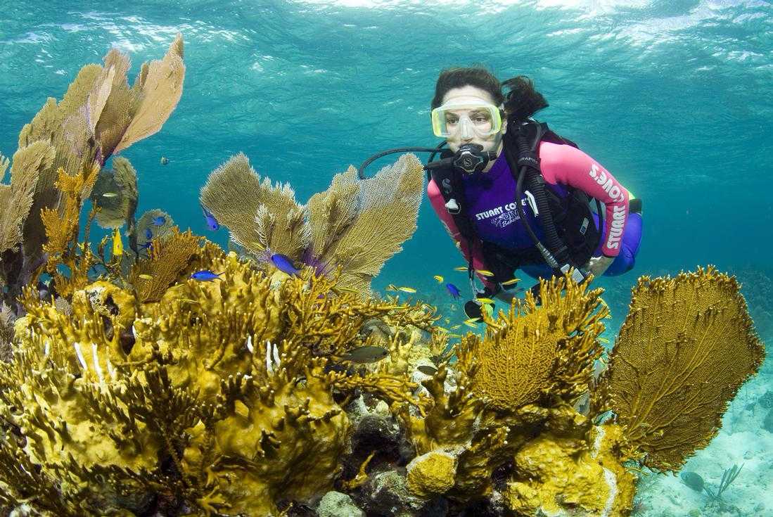 Two Tank Professional Diving in Nassau – photo 1 of 6