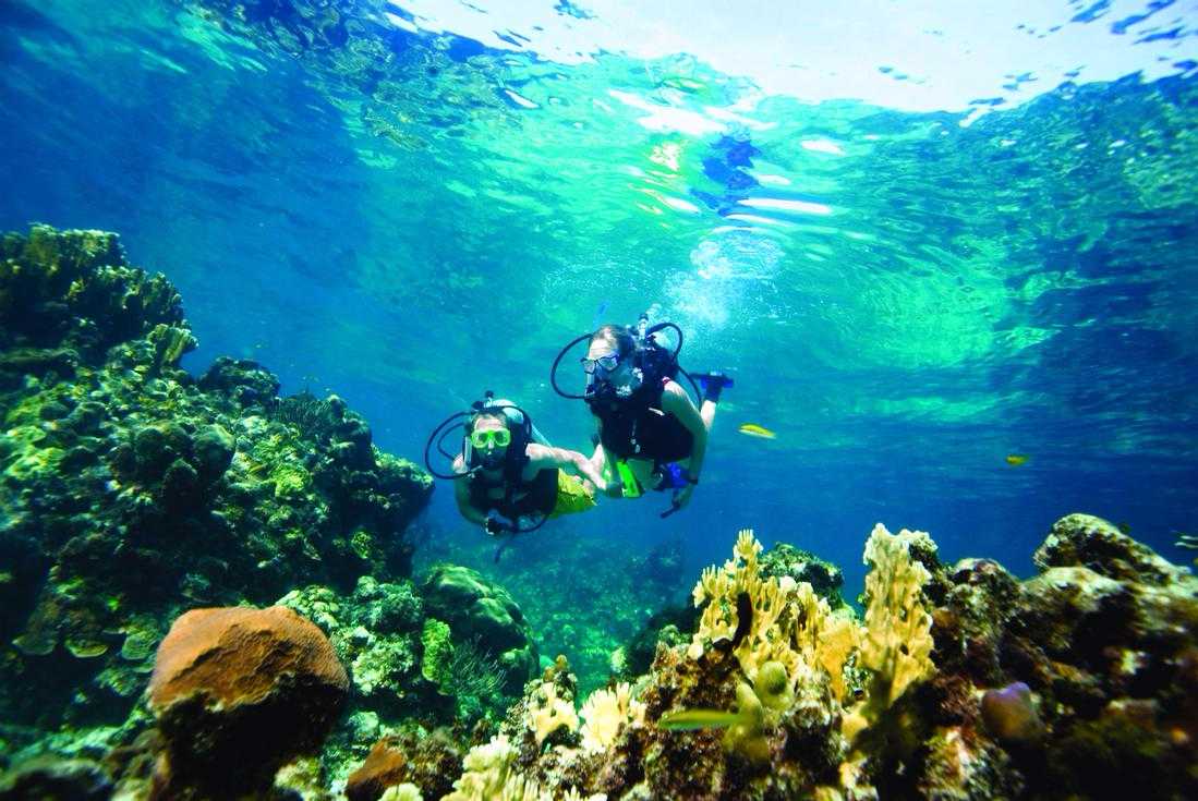 Two Tank Professional Diving in Nassau – photo 5 of 6