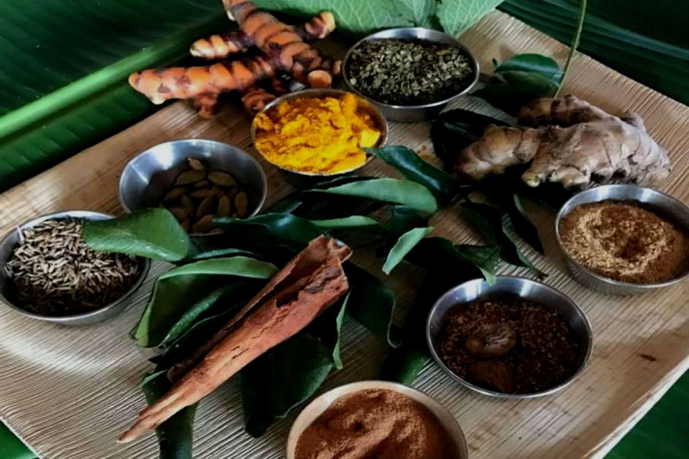 Assorted Caribbean spices, roots, and leaves arranged for cooking