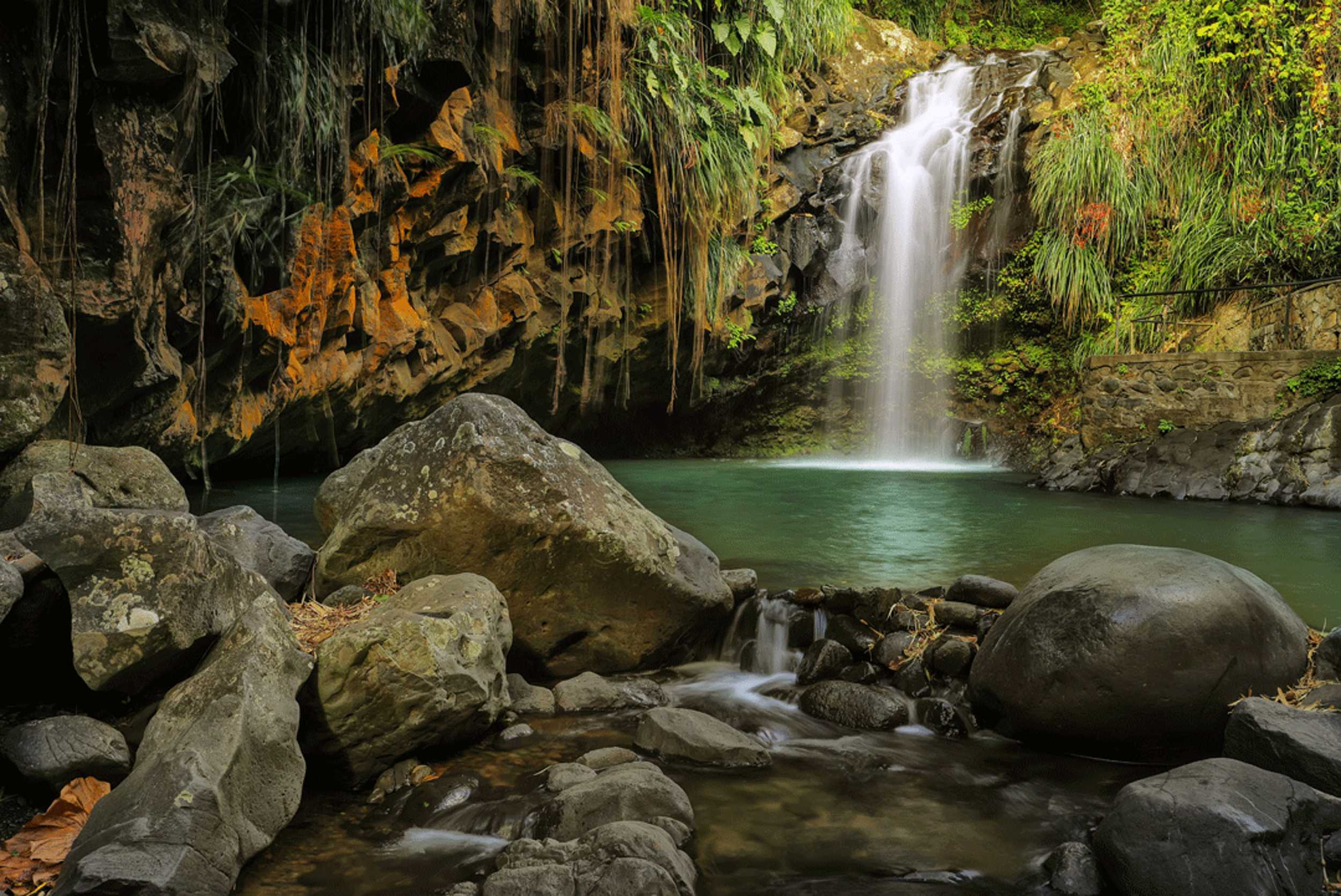 Grenada Historical Jeep, Rainforest and Waterfall Experience – photo 4 of 8