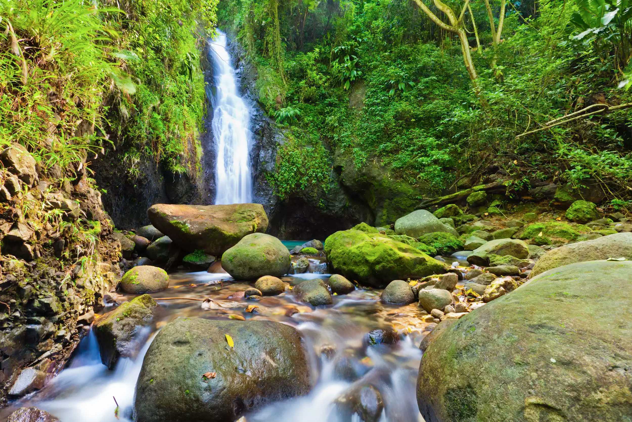 Tuk Tuk Waterfall & Beach Experience – photo 1 of 7