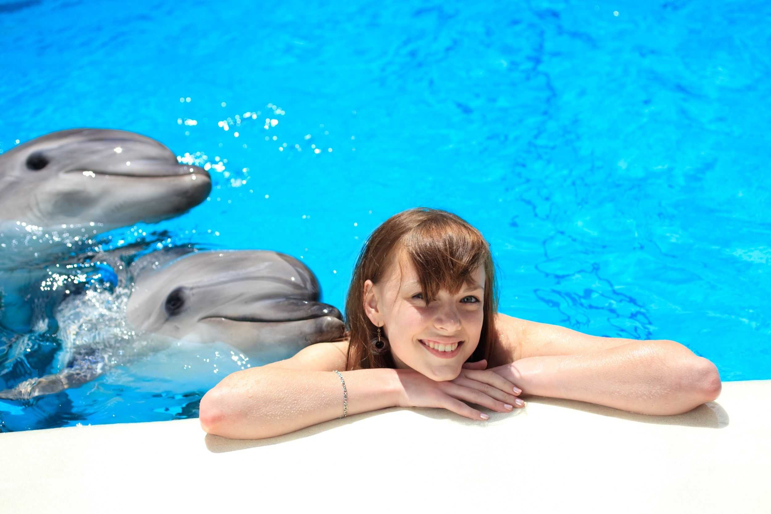 Dolphin Swim & Dunn's River Falls Experience – photo 3 of 9
