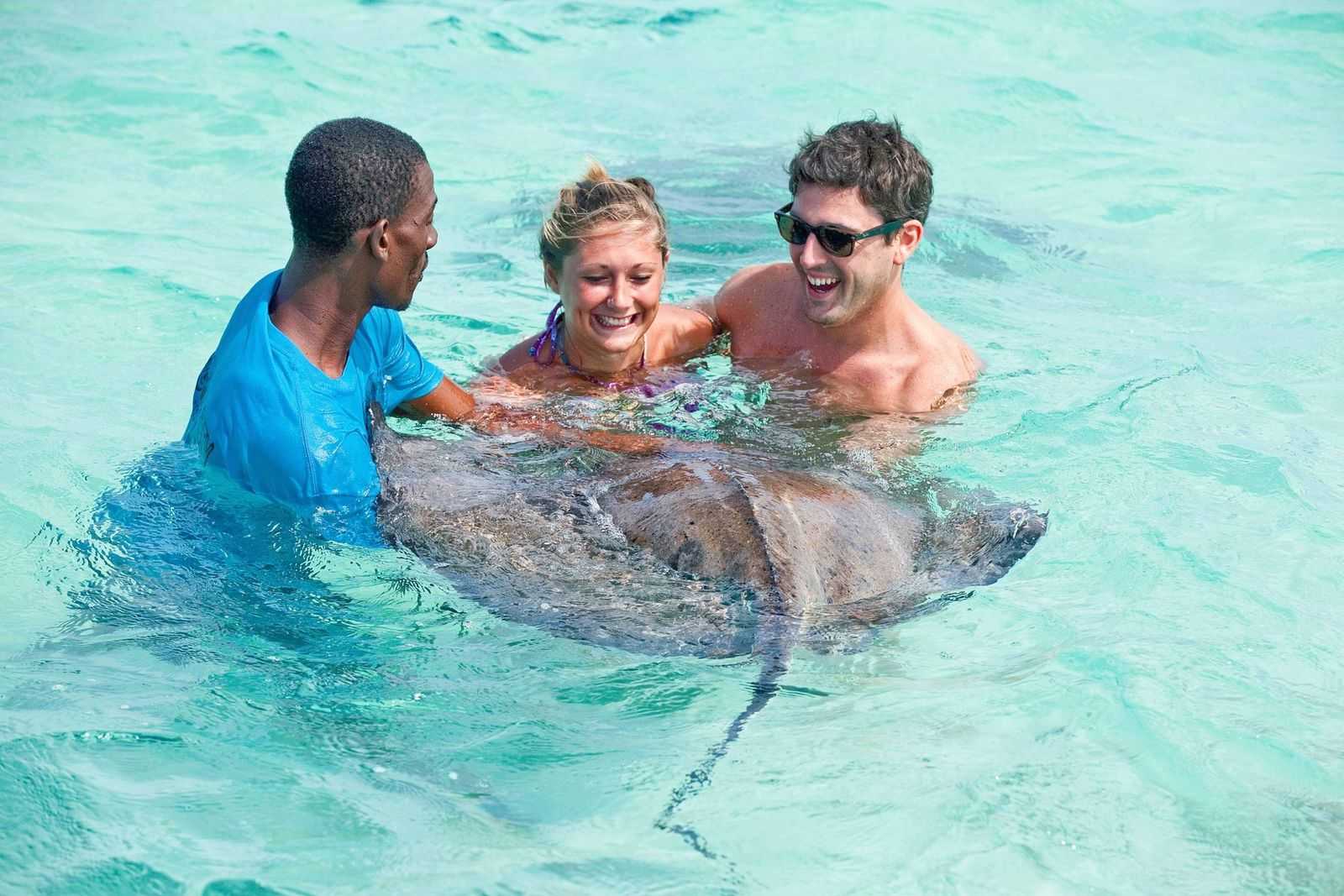 Dolphin Swim & Dunn's River Falls Experience – photo 2 of 9
