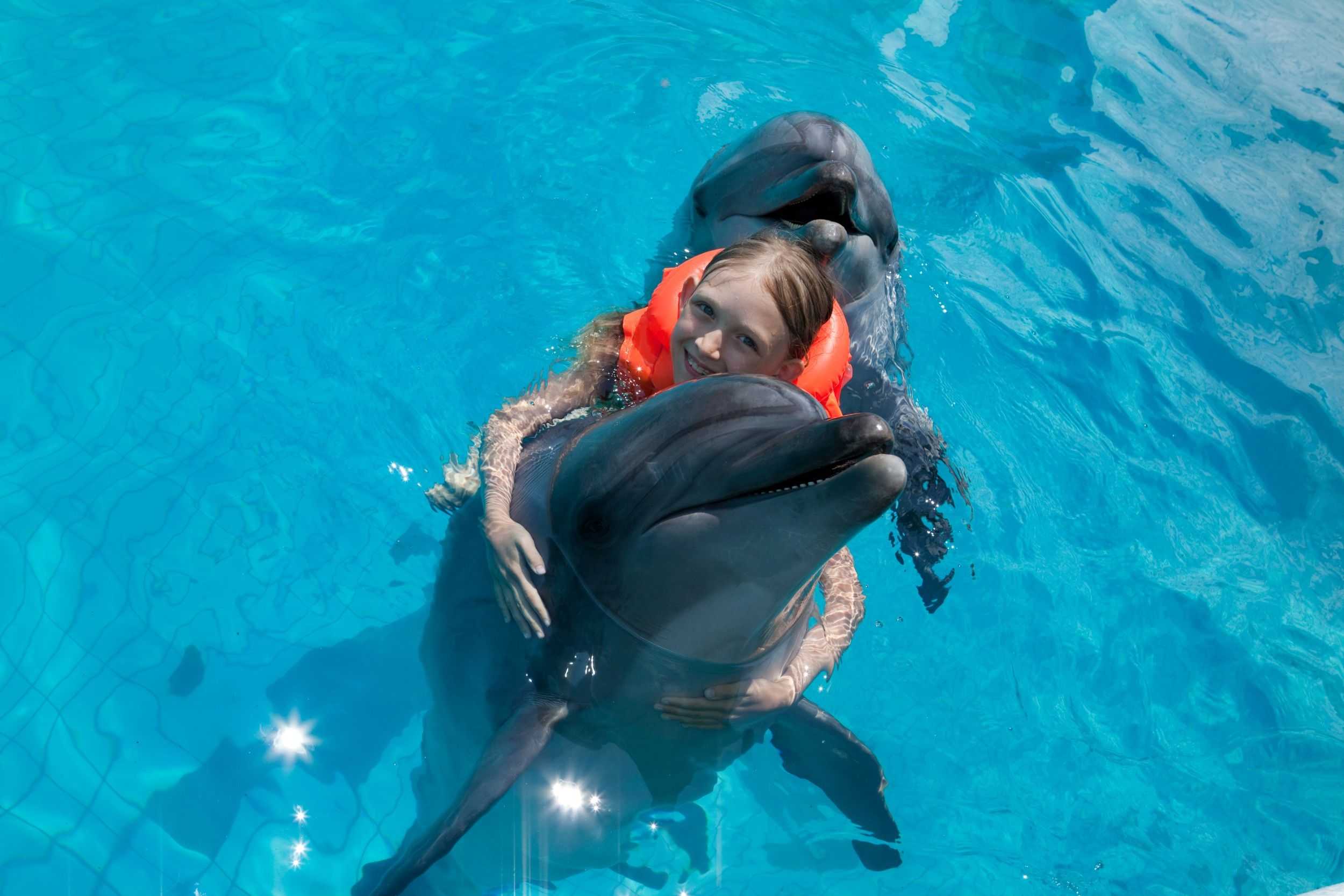 Dolphin Swim & Dunn's River Falls Experience – photo 1 of 9