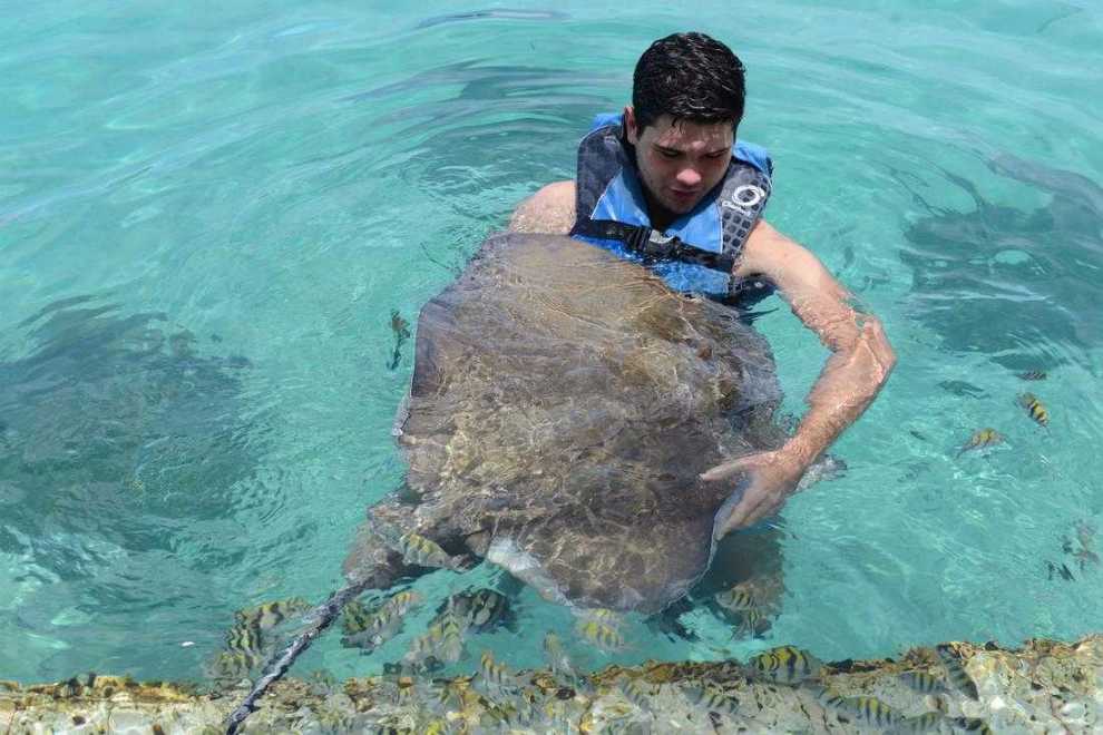Ocean wildlife experience