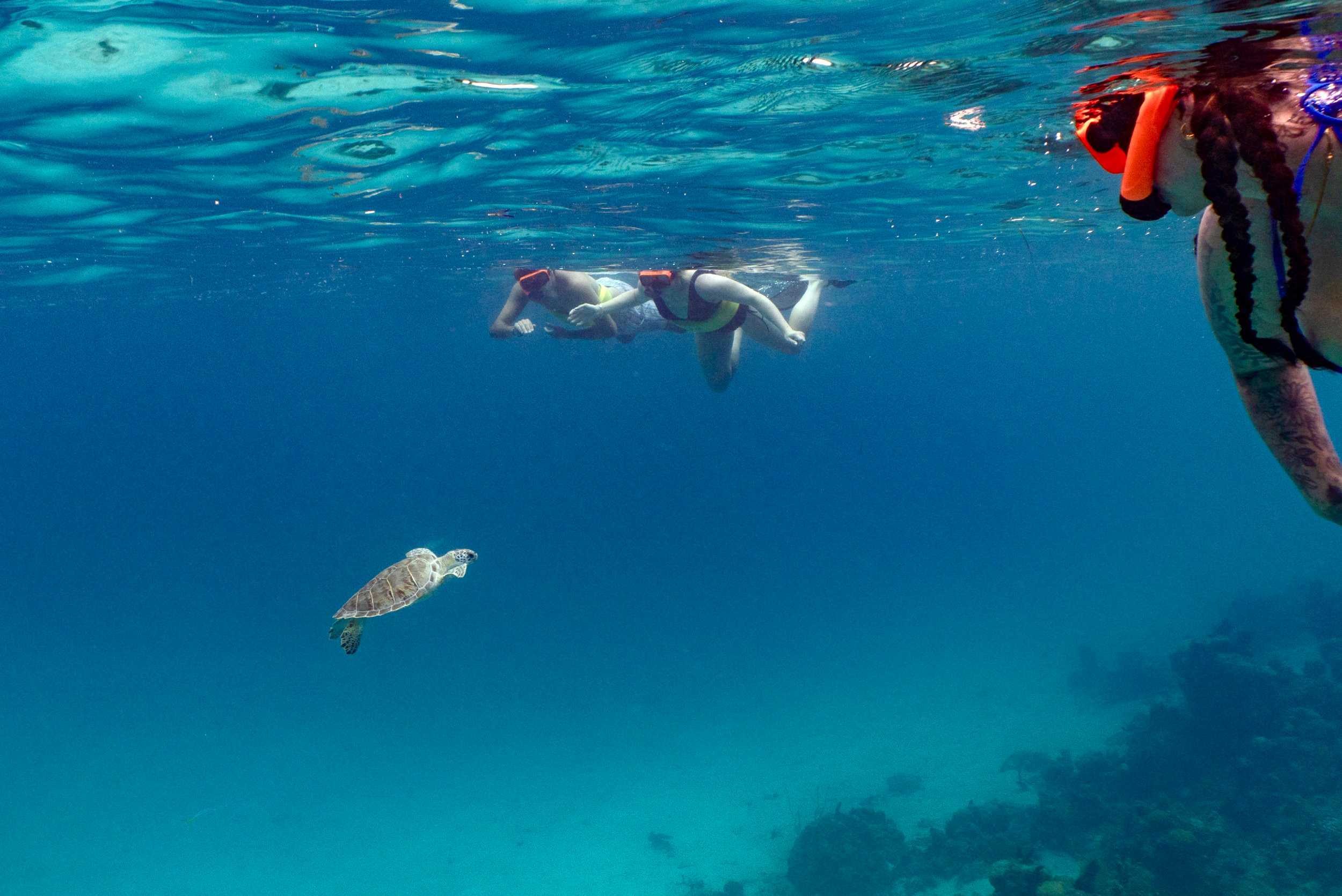 Caicos Sandbar & Snorkel Cruise – photo 4 of 6