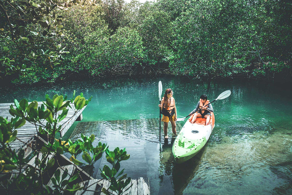 Ziplining in Antigua - Island Routes