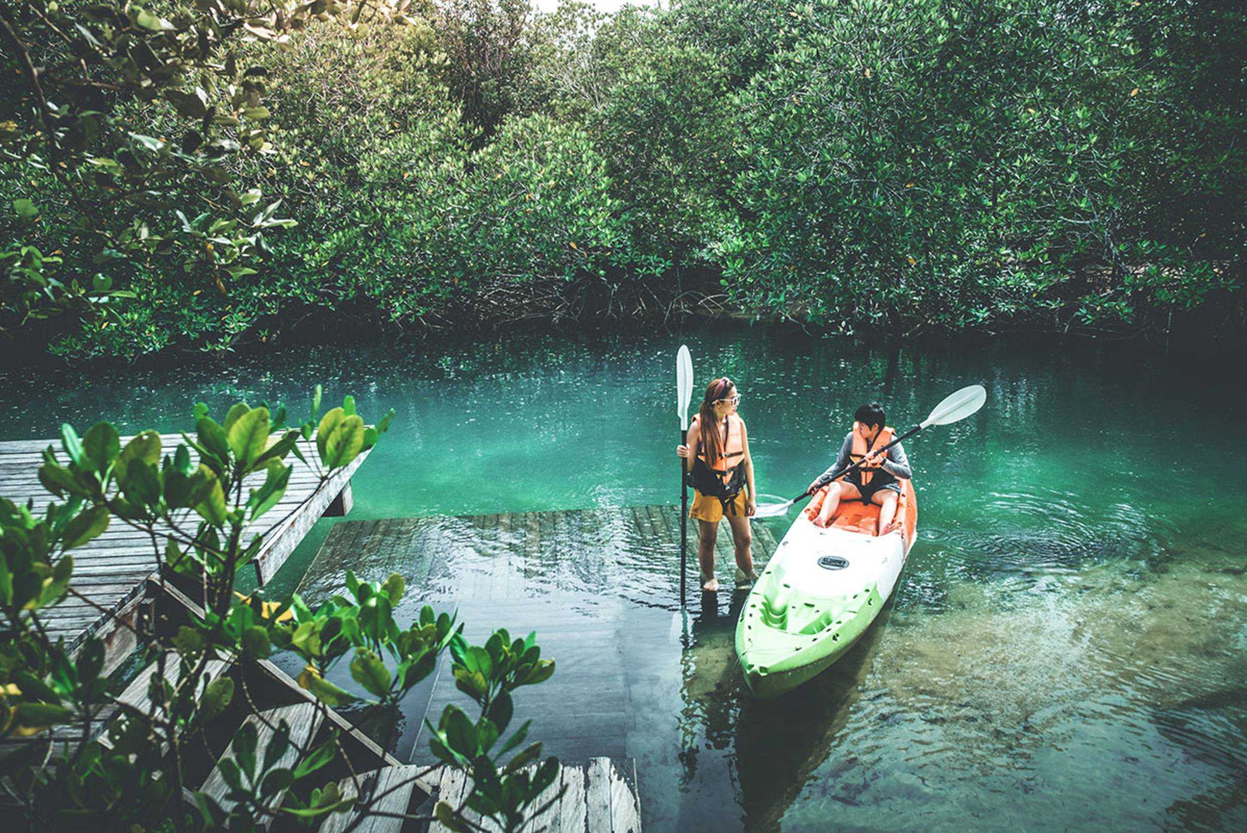 Antigua Rainforest Zipline & Eco-Kayak Experience – photo 1 of 3