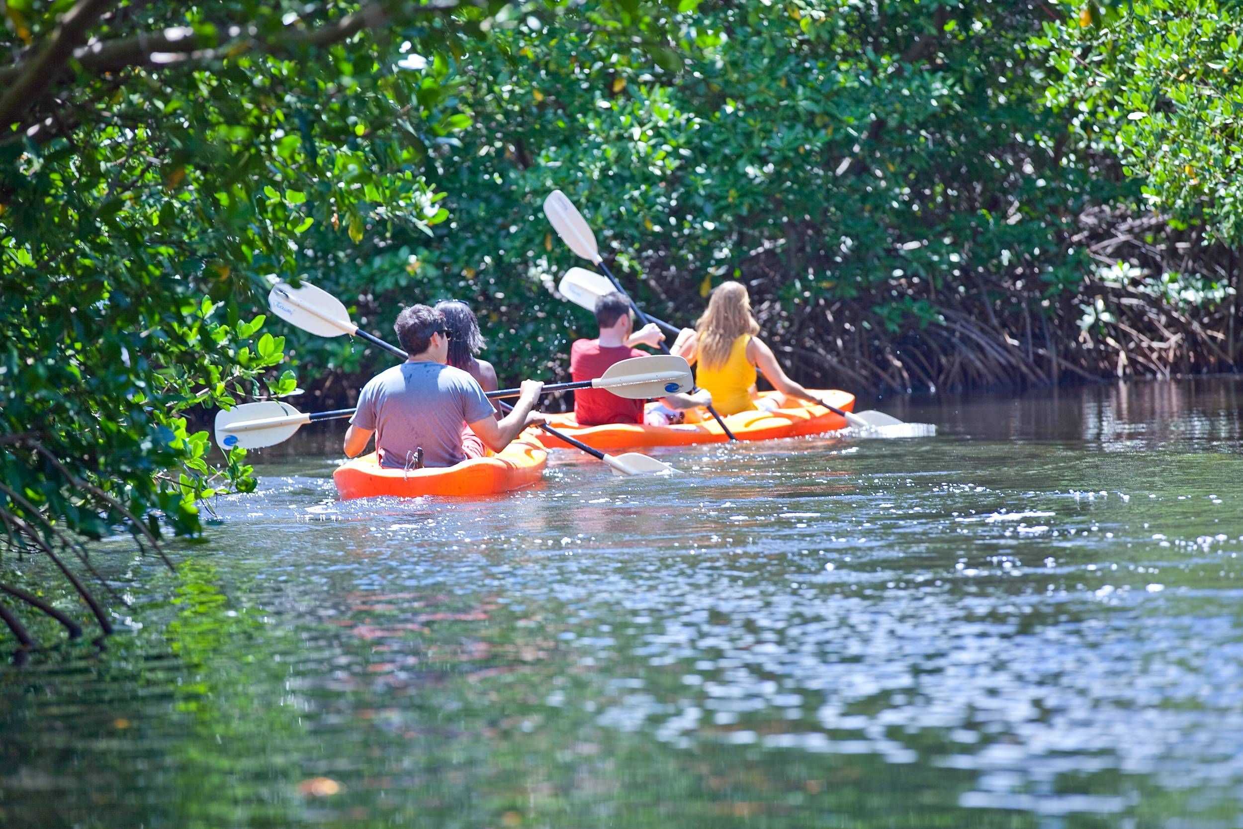 Antigua Rainforest Zipline & Eco-Kayak Experience – photo 3 of 3