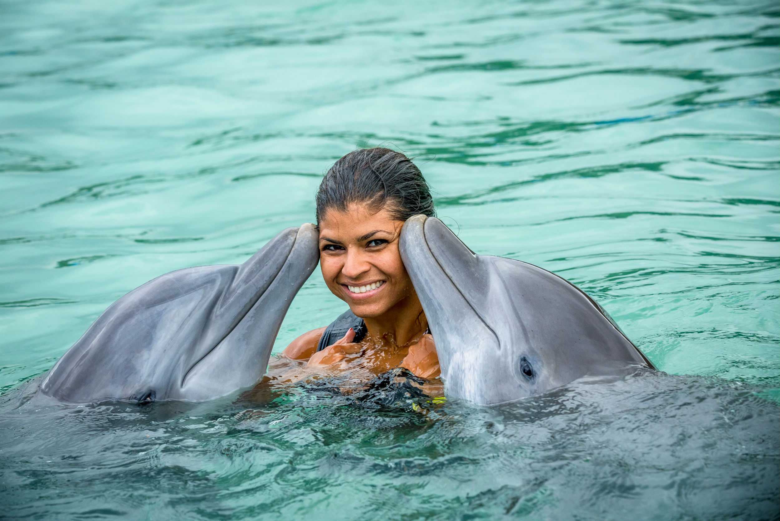 Dolphin Royal Swim and Beach Break  Ocho Rios – photo 4 of 4