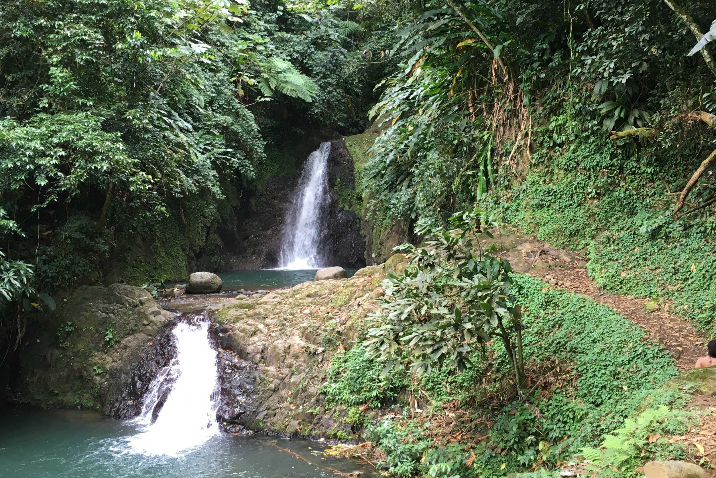 Safari Explorer and St. Margaret’s Falls Experience – photo 2 of 4