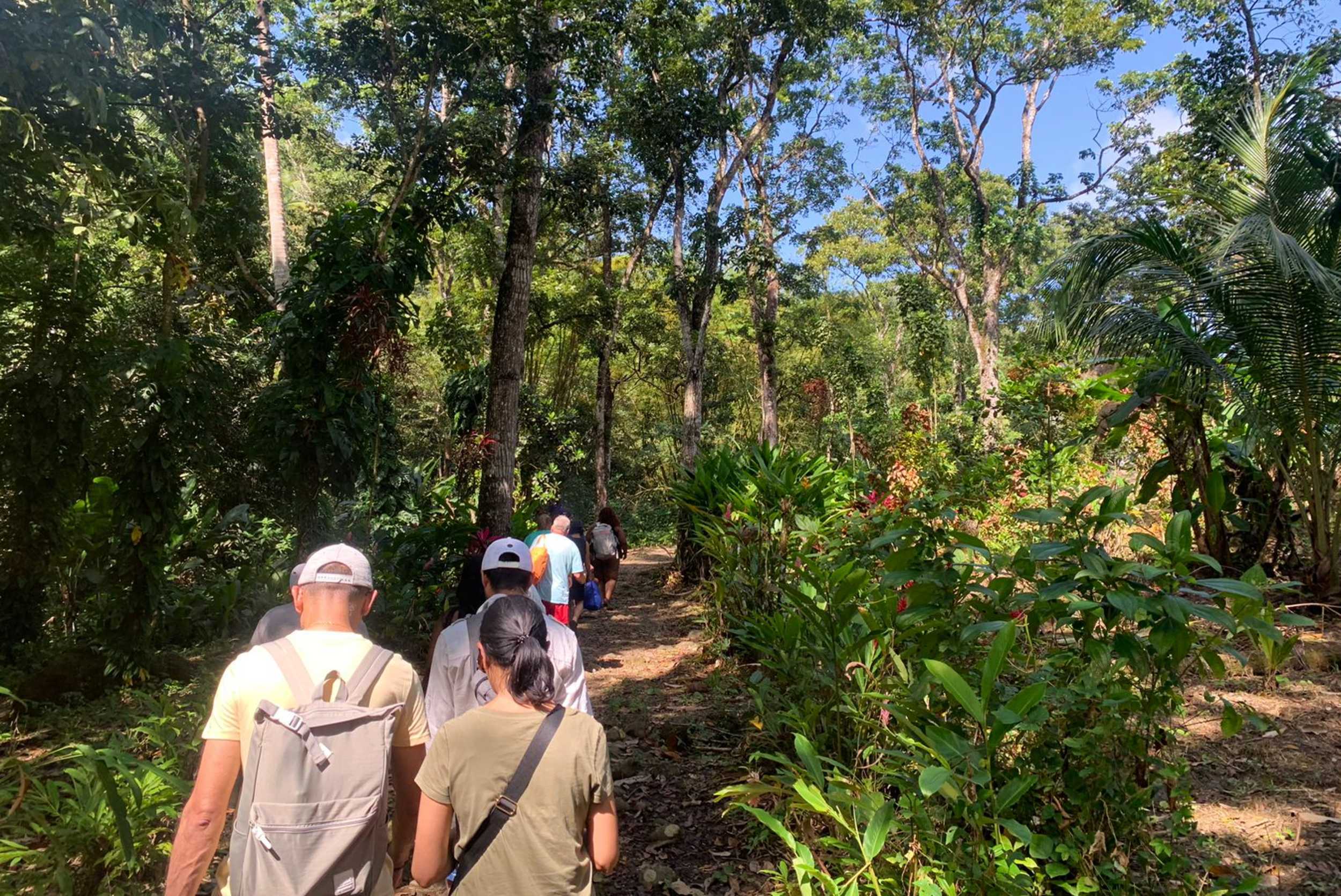 St. Lucia hiking tour image placeholder