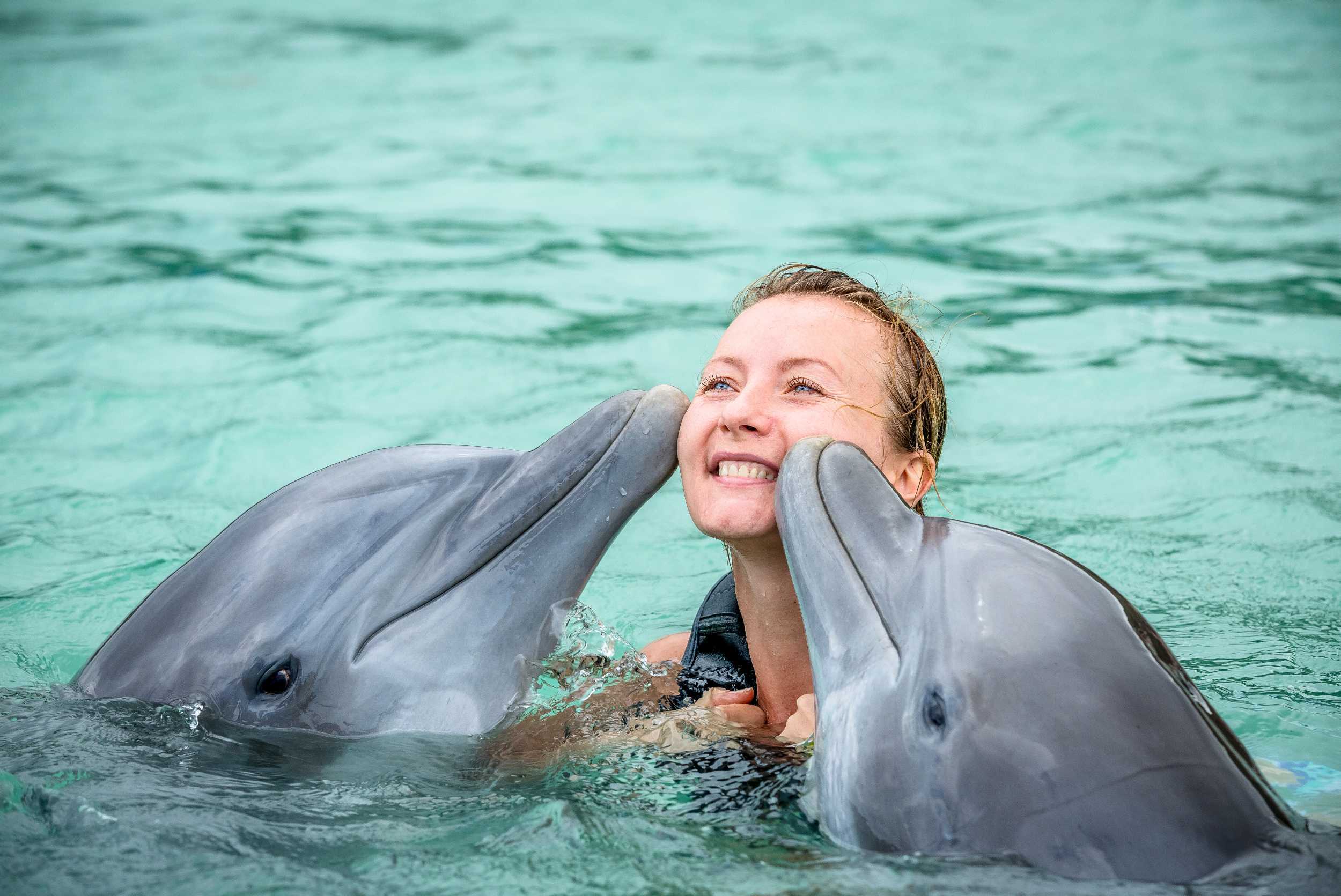 Dolphin Royal Swim & Beach Break Ocho Rios from Montego Bay – photo 4 of 4