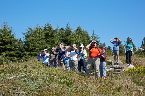 Hiking Adventures with L.L.Bean Outdoor Discovery Programs