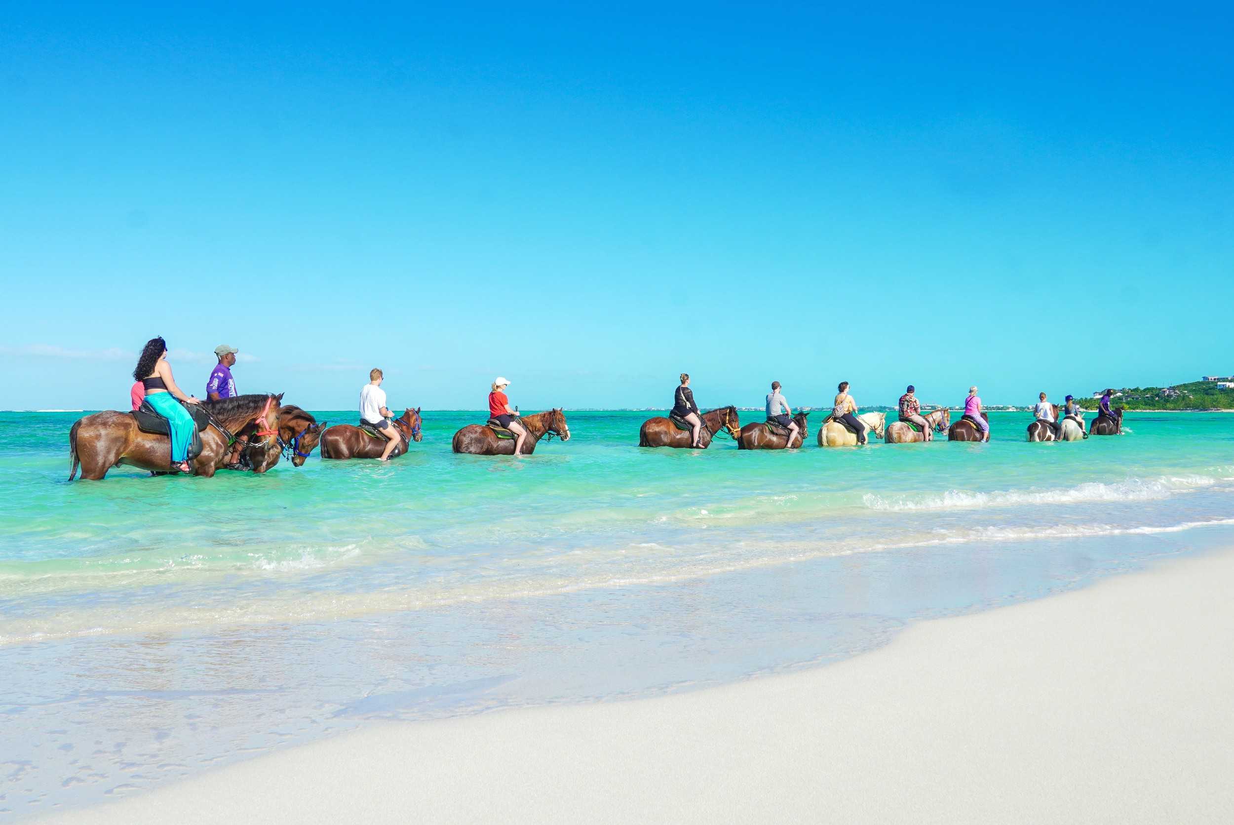 Horseback Beach Ride Turks & Caicos – photo 2 of 4