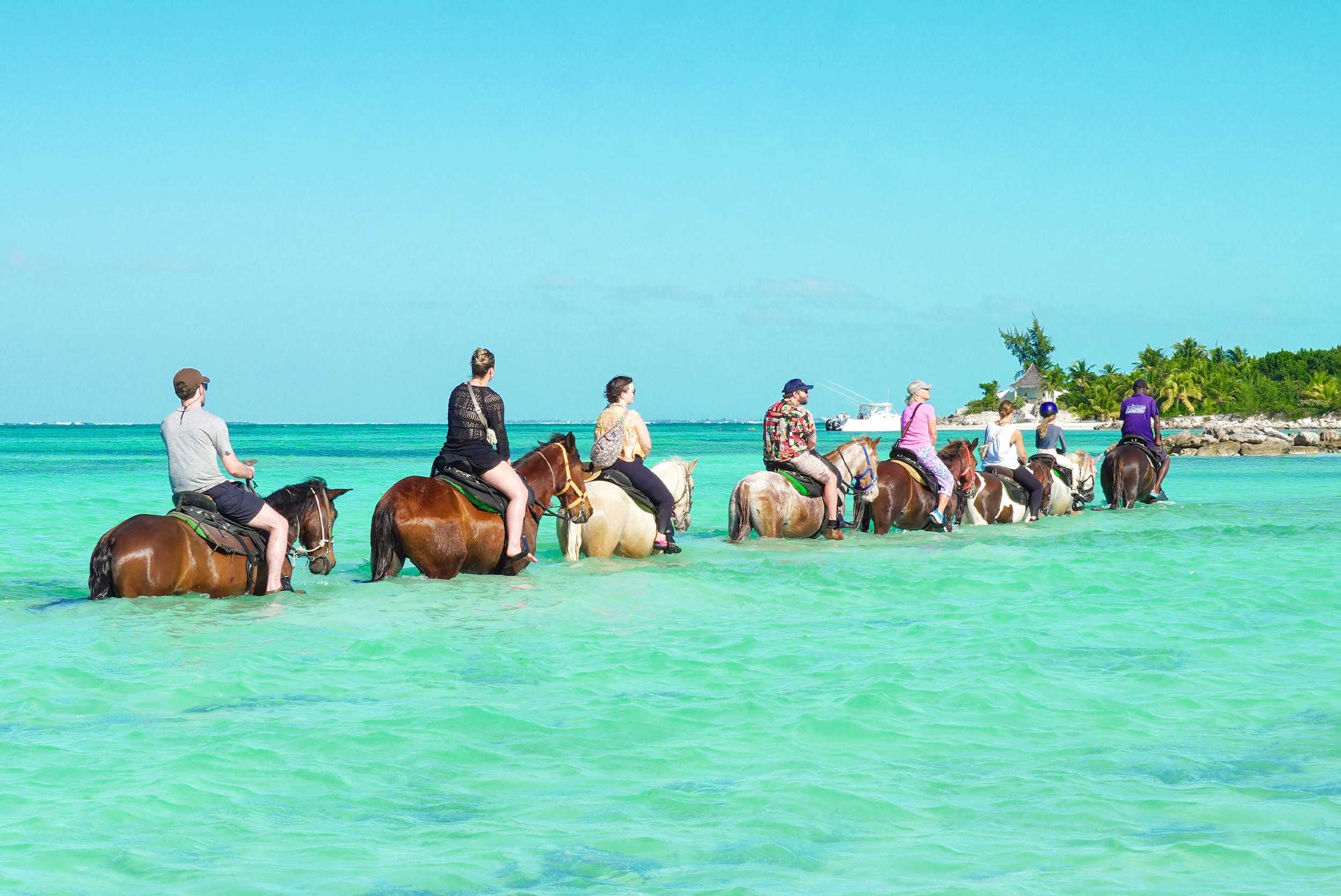 Horseback Beach Ride Turks & Caicos – photo 3 of 4