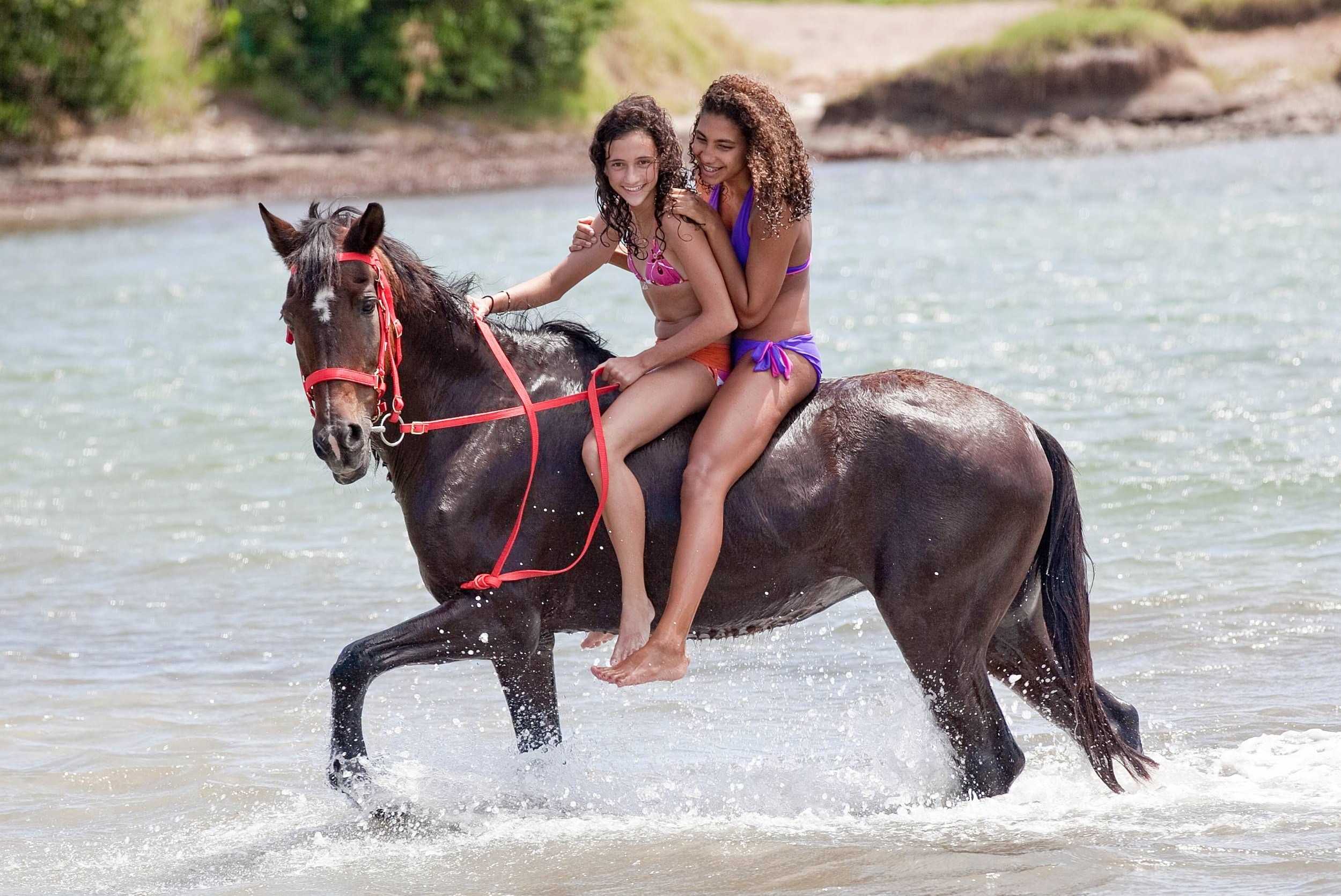 Horseback Beach Ride St. Lucia – photo 4 of 4
