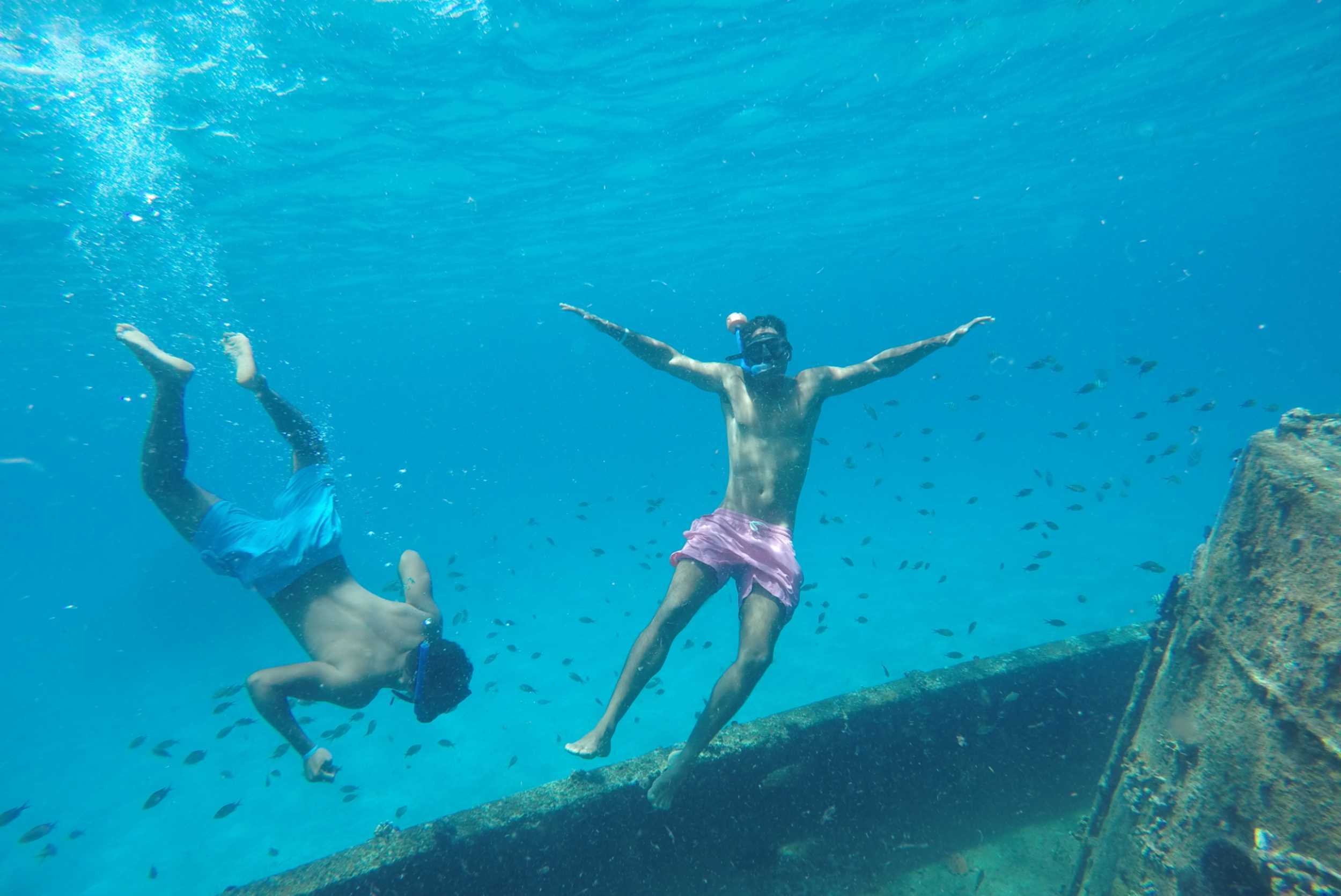 Shipwreck Snorkel and Turtle Swim Adventure – photo 5 of 6