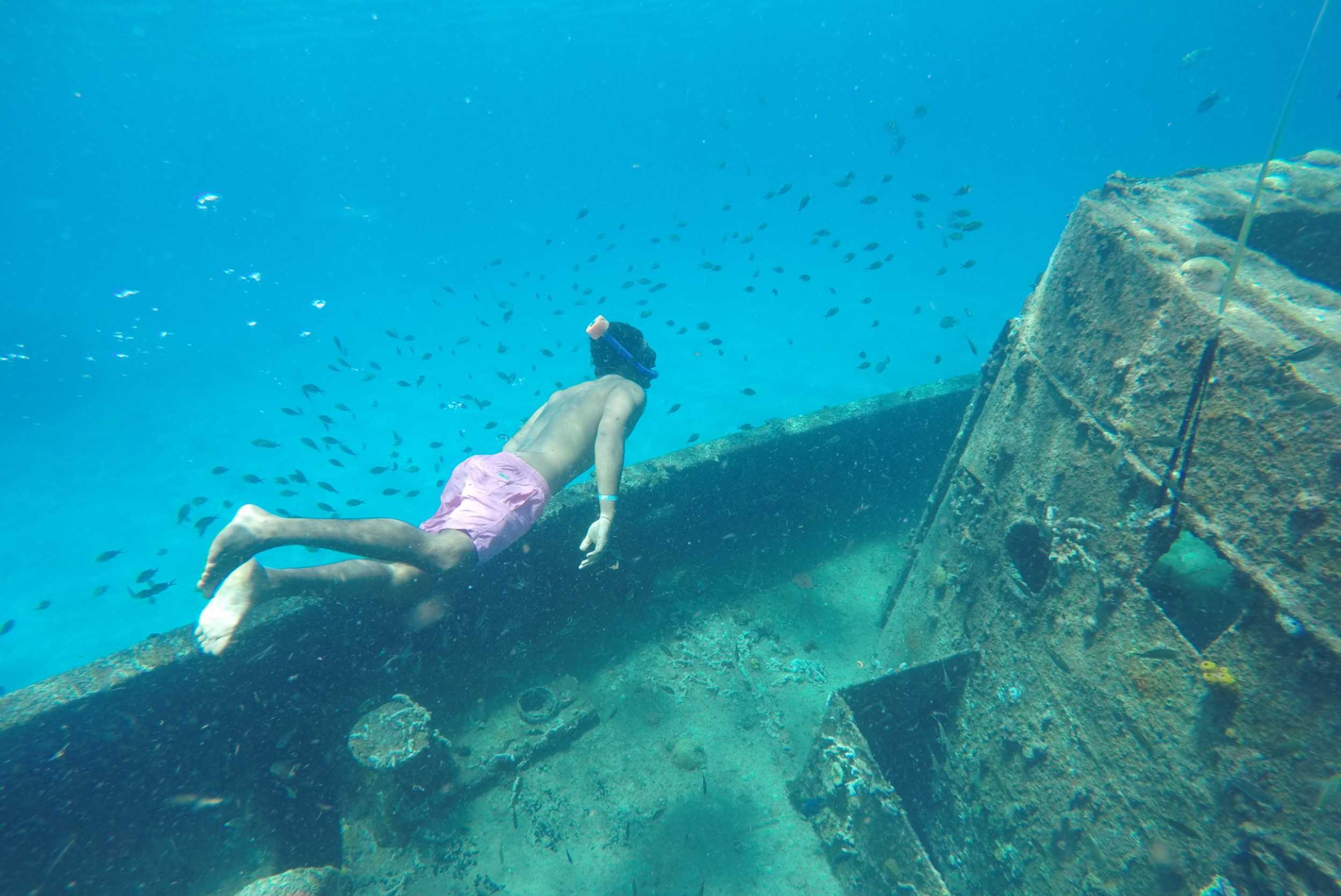 Shipwreck Snorkel and Turtle Swim Adventure – photo 4 of 6