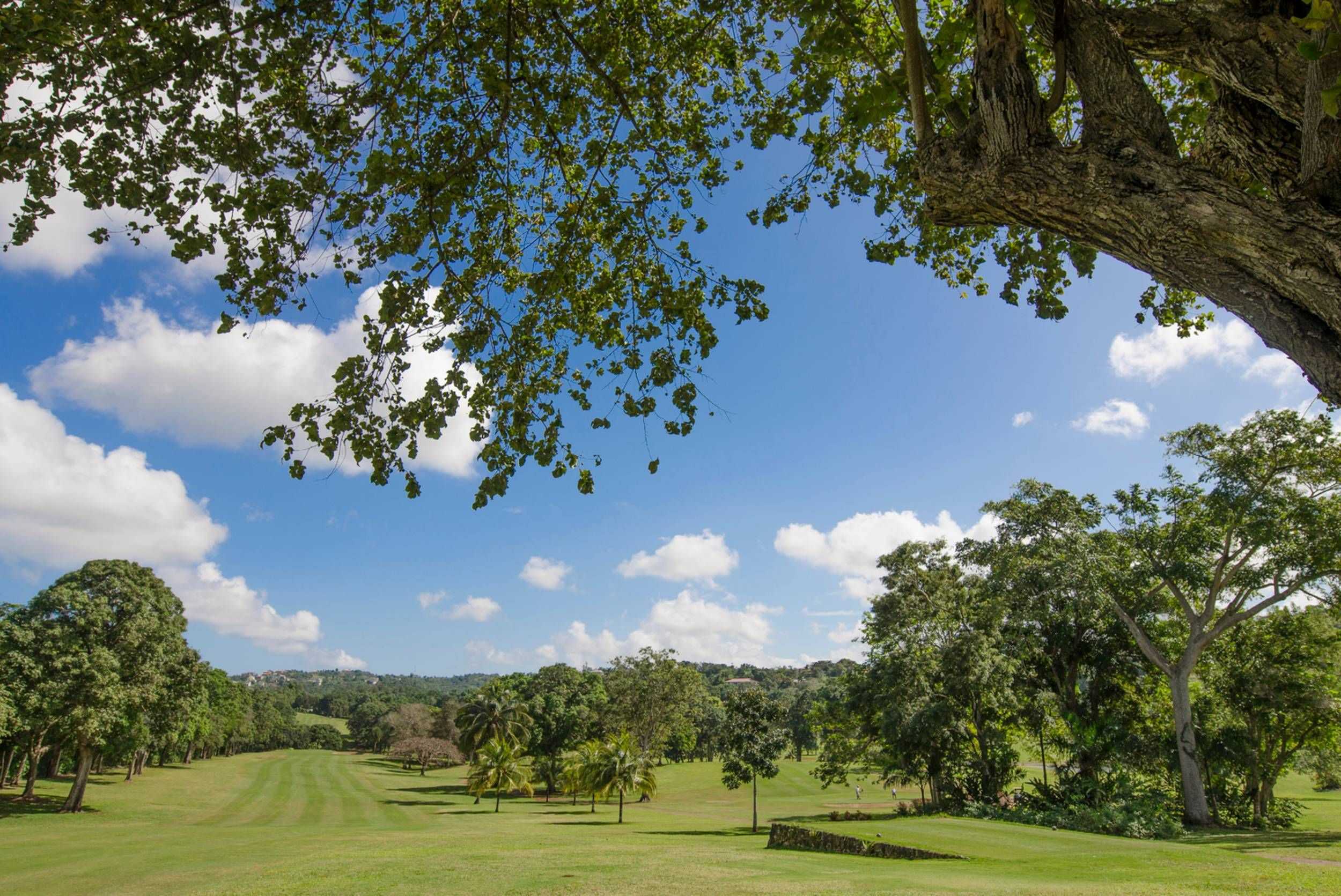 Ocho Rios Golf & Country Club Experience – photo 4 of 4