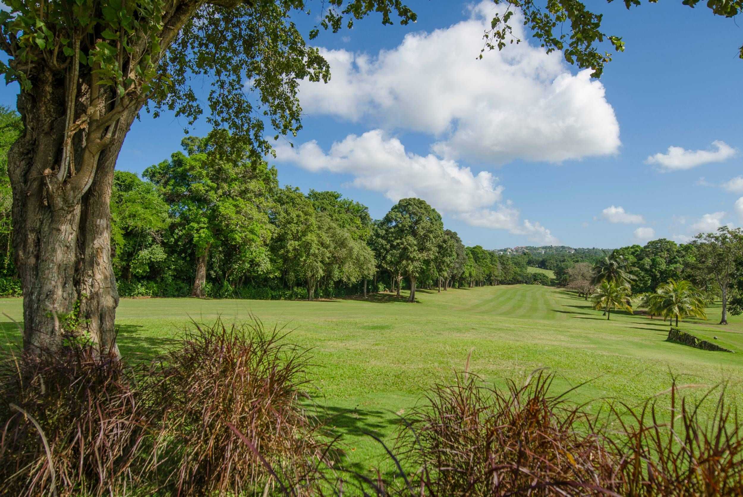 Ocho Rios Golf & Country Club Experience – photo 2 of 4