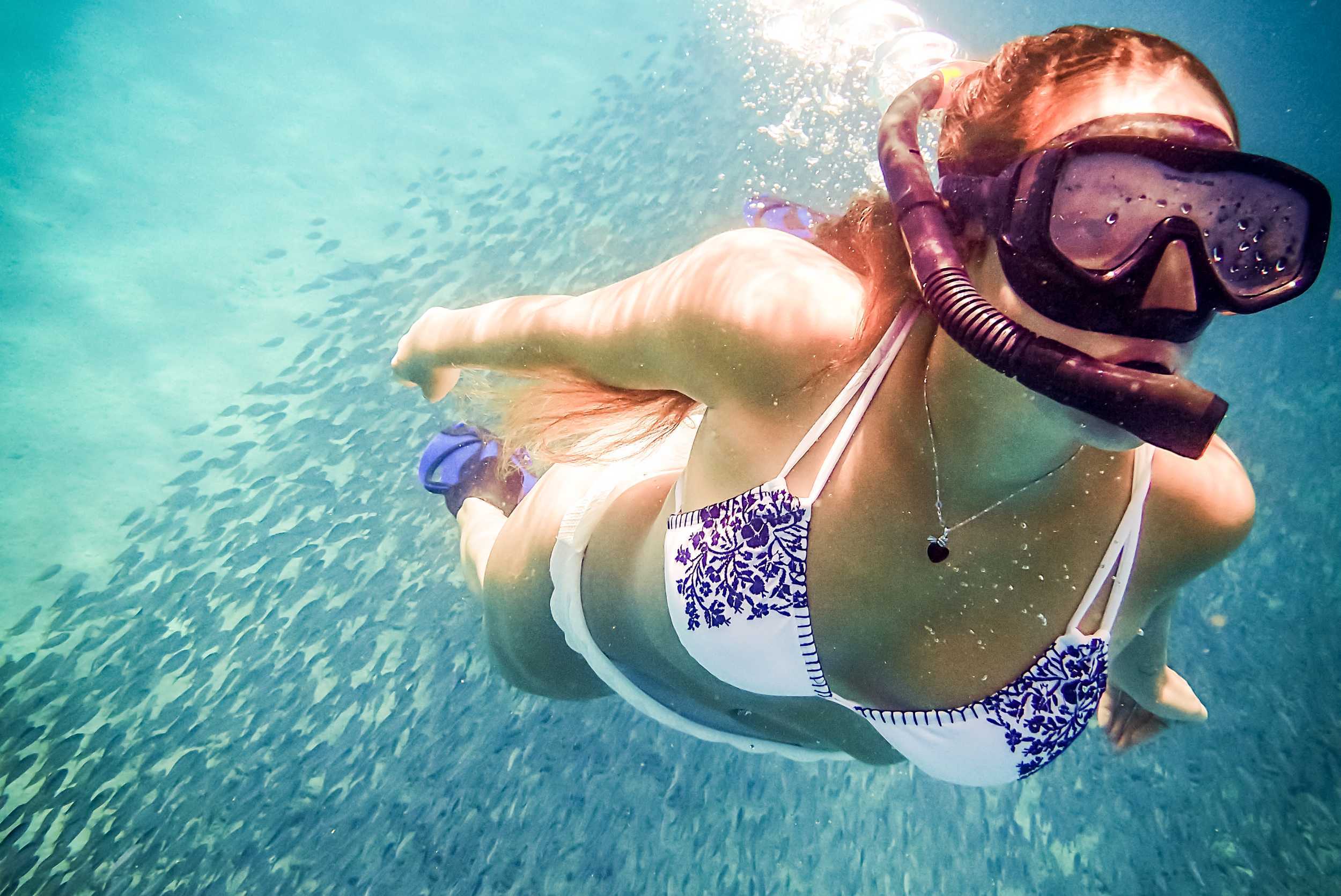 Wonders of Curacao, Swim and Snorkel Cruise – photo 1 of 7