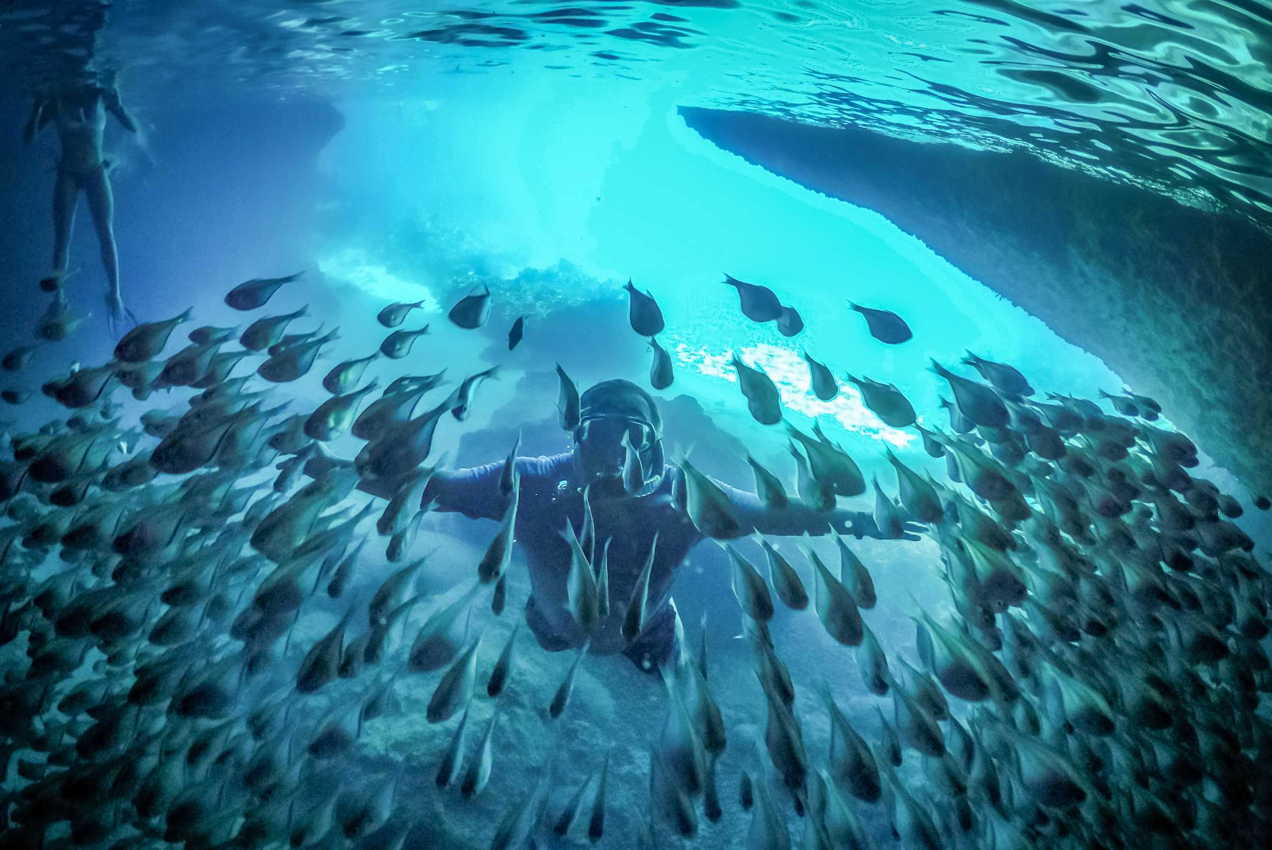 Wonders of Curacao, Swim and Snorkel Cruise – photo 4 of 7