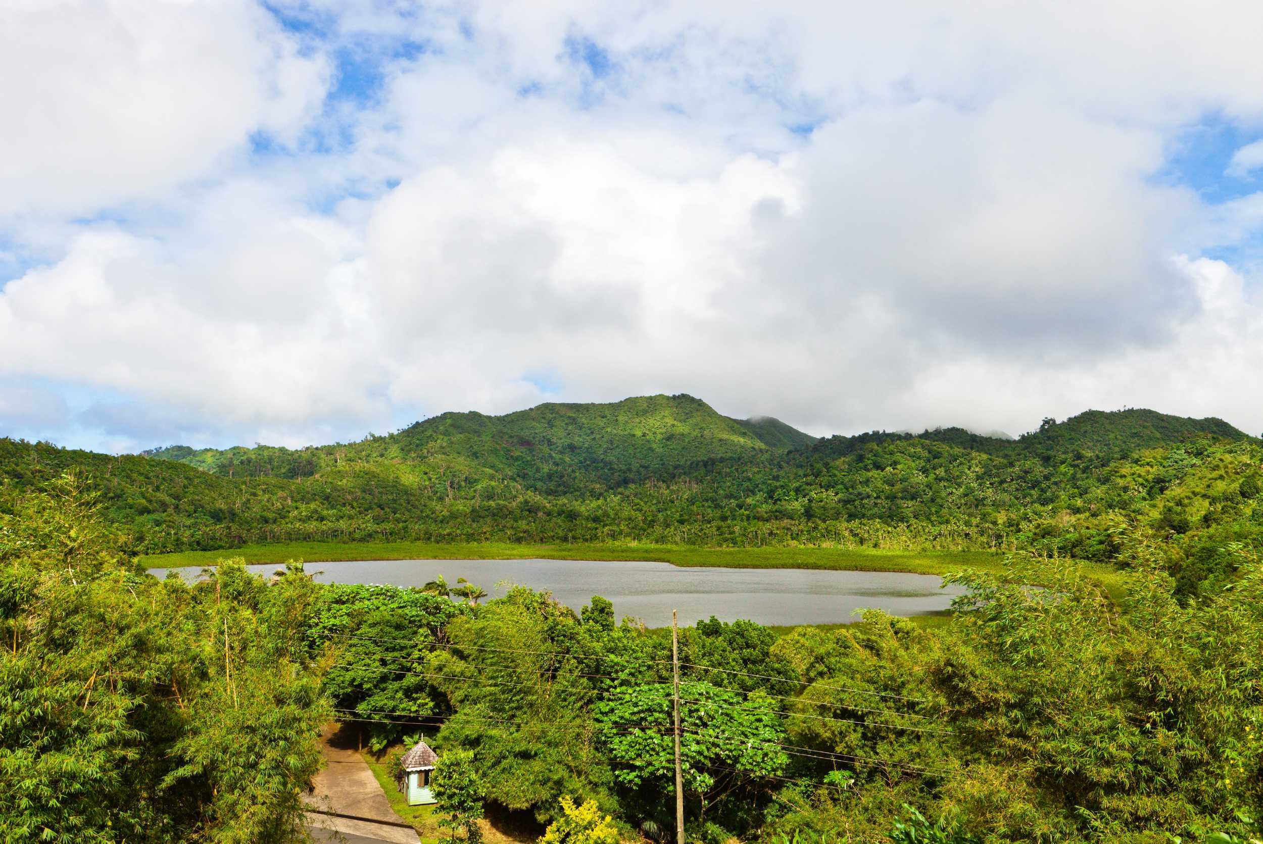 Grand Etang Rainforest Hike and Waterfall Experience – photo 1 of 6