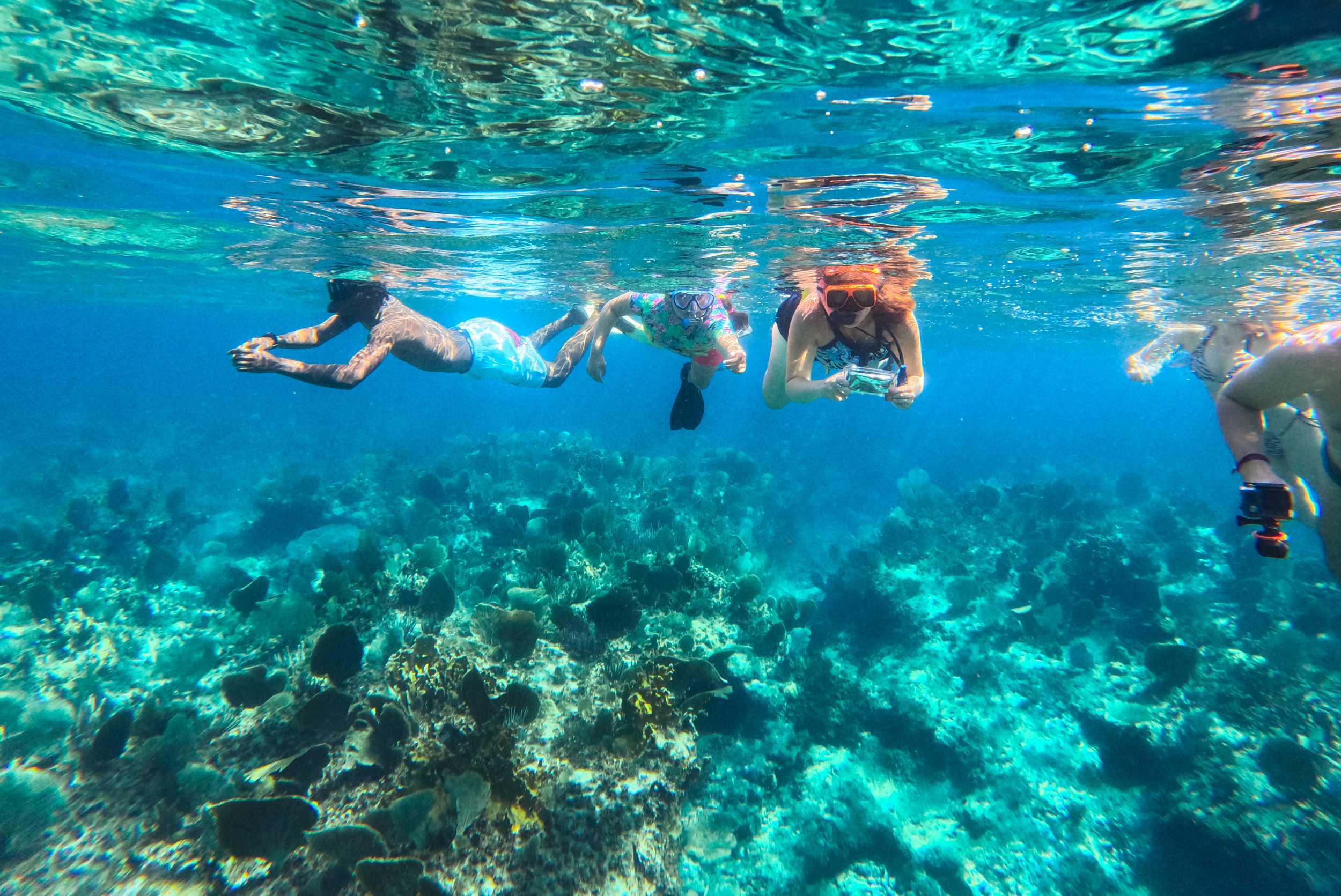 Caicos Reef Snorkel Cruise – photo 4 of 8