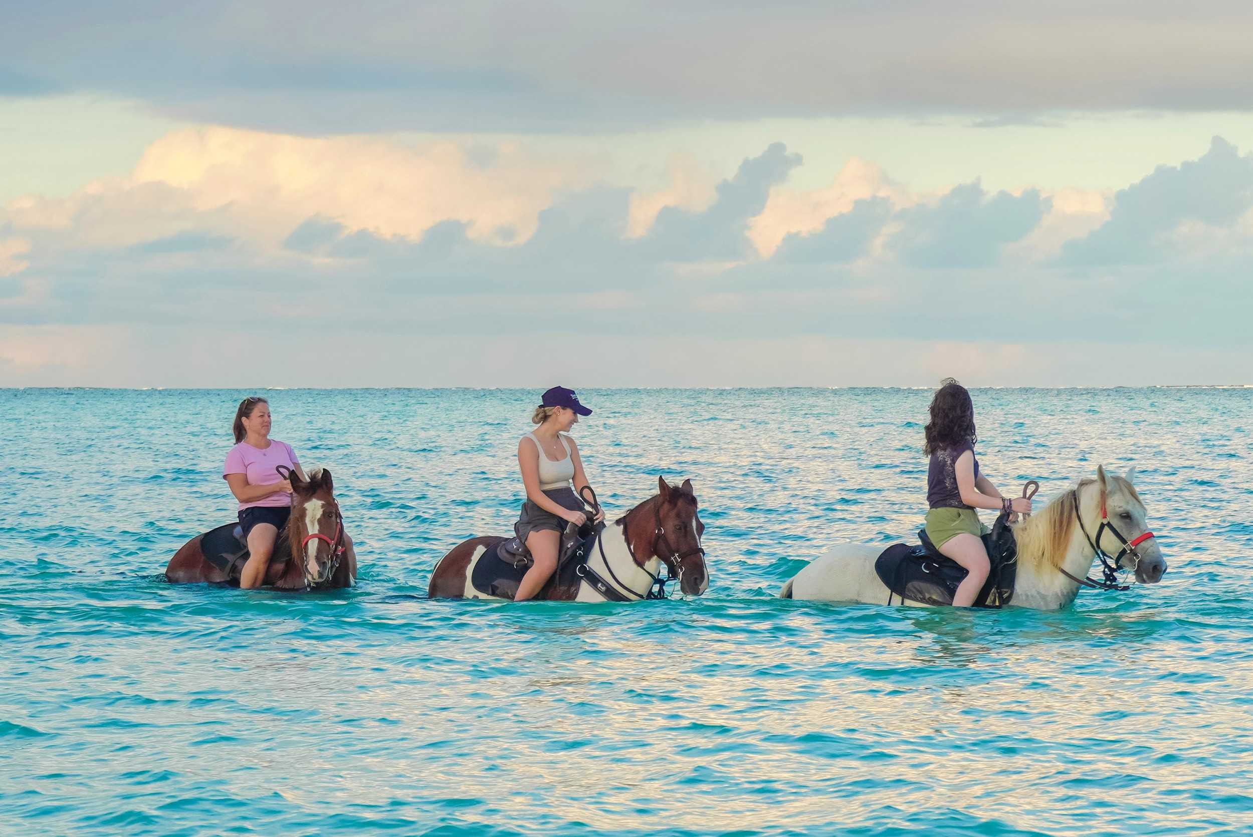 Turks Sunset Horseback Beach Ride – photo 4 of 4