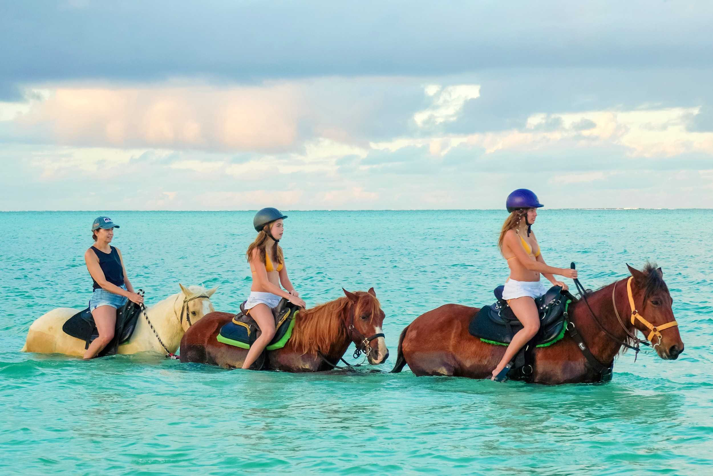 Turks Sunset Horseback Beach Ride – photo 3 of 4