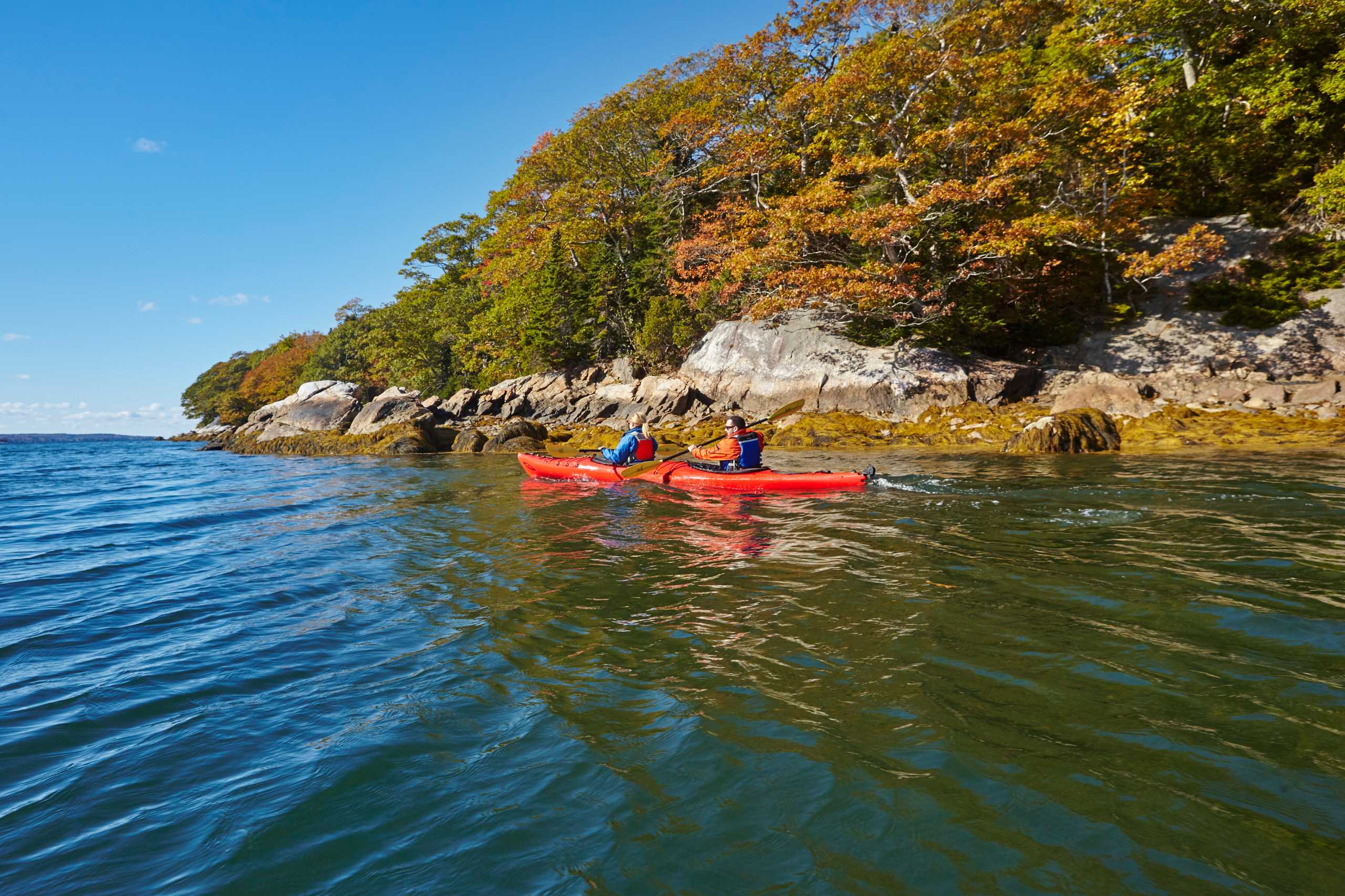 Maine Fall-Foliage Kayak Tour