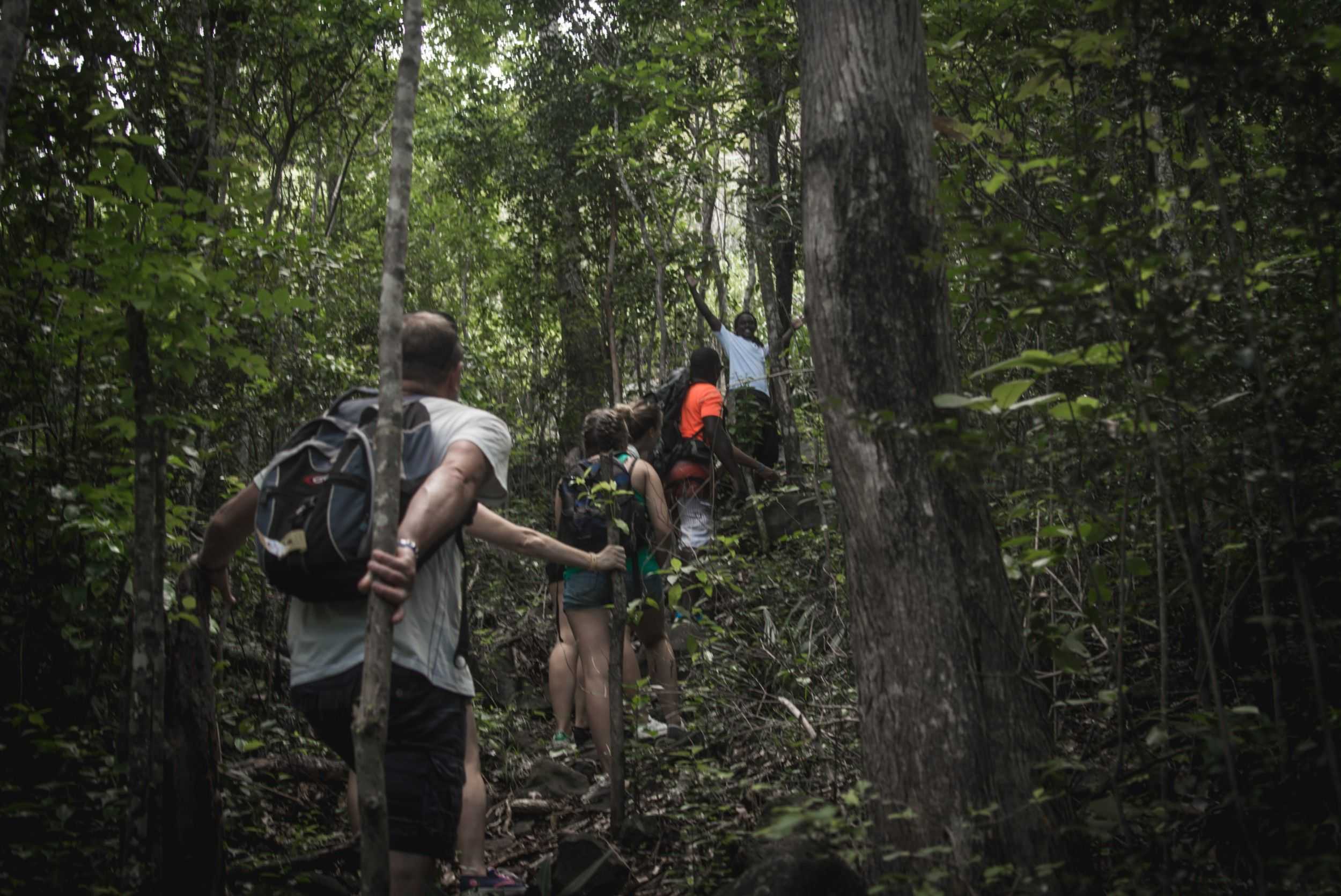 Gros Piton Hike from Soufriere – photo 1 of 3
